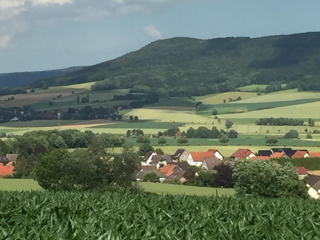 Gaestehaus White Horse Diedersen Coppenbrügge Exterior foto